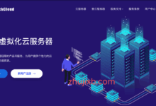 OneTechCloud美国/香港VPS双十一促销：24元/月起，9929、CN2 GIA、双ISP线路，支持支付宝-Zhu Ji XB