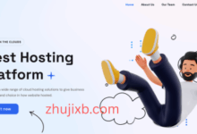 VMISS日本东京三网优化VPS - 高性能AMD EPYC, CN2 GIA/CU10099/CMI回程, 流媒体解锁优秀-Zhu Ji XB