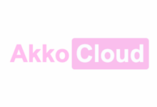 AkkoCloud德国法兰克福CN2 GIA VPS补货解析：季付99元起·500Mbps带宽·三网回程GIA优势全解-Zhu Ji XB